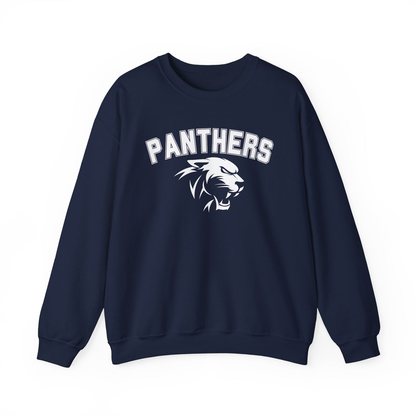 College Varsity Panthers Sweatshirt
