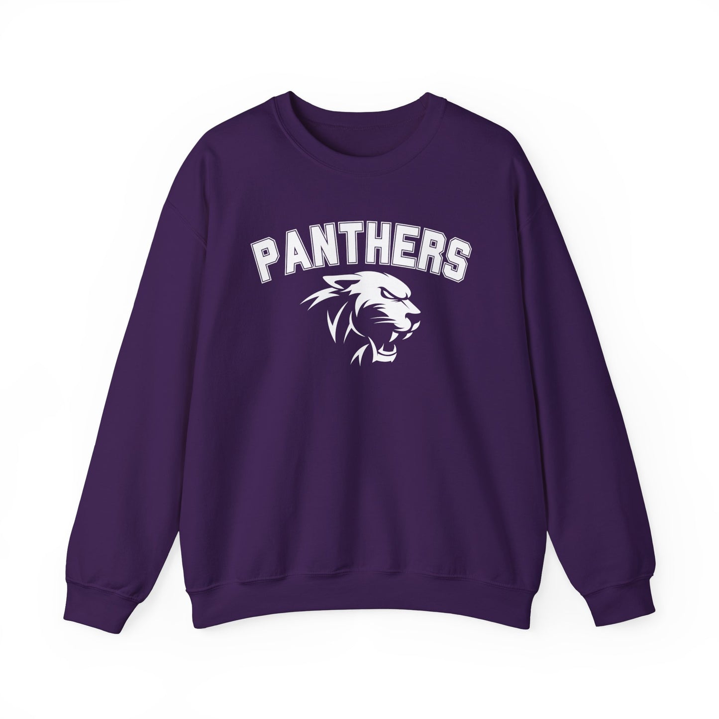 College Varsity Panthers Sweatshirt