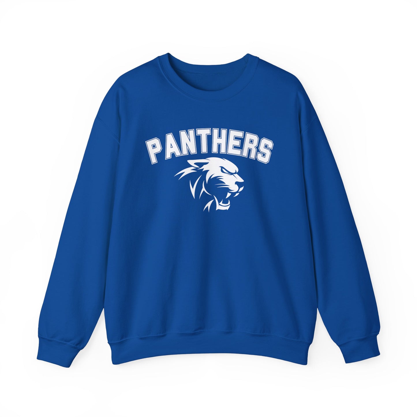 College Varsity Panthers Sweatshirt