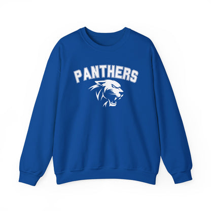 College Varsity Panthers Sweatshirt