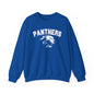 College Varsity Panthers Sweatshirt