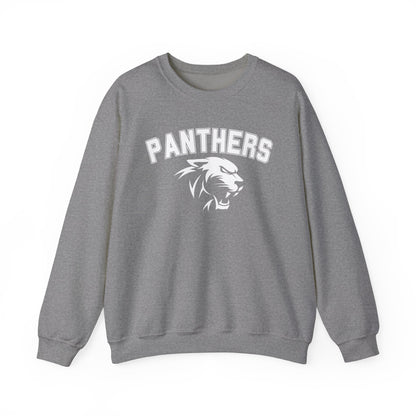 College Varsity Panthers Sweatshirt