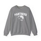 College Varsity Panthers Sweatshirt