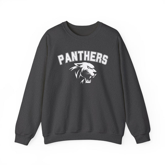 College Varsity Panthers Sweatshirt