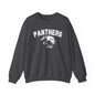 College Varsity Panthers Sweatshirt