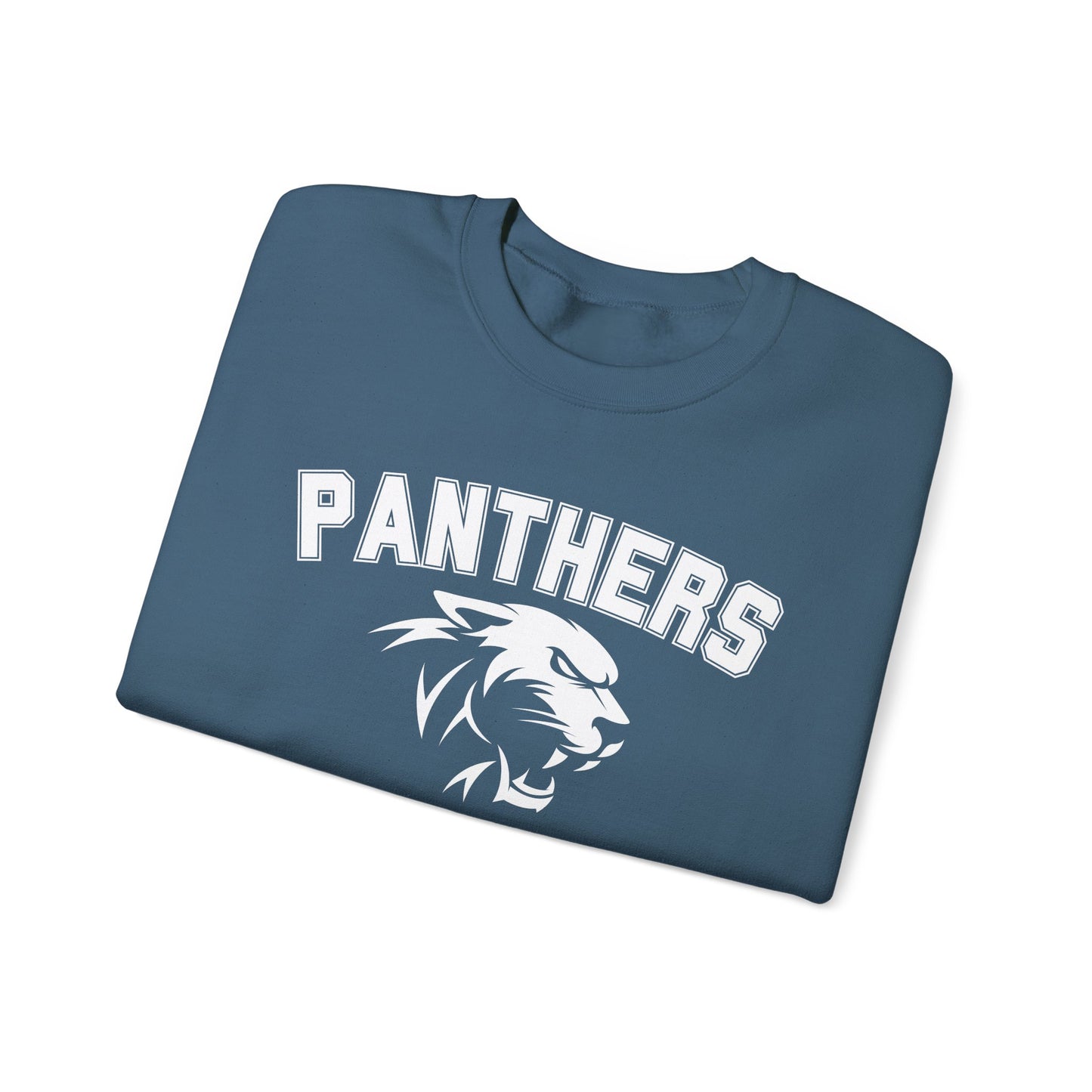 College Varsity Panthers Sweatshirt