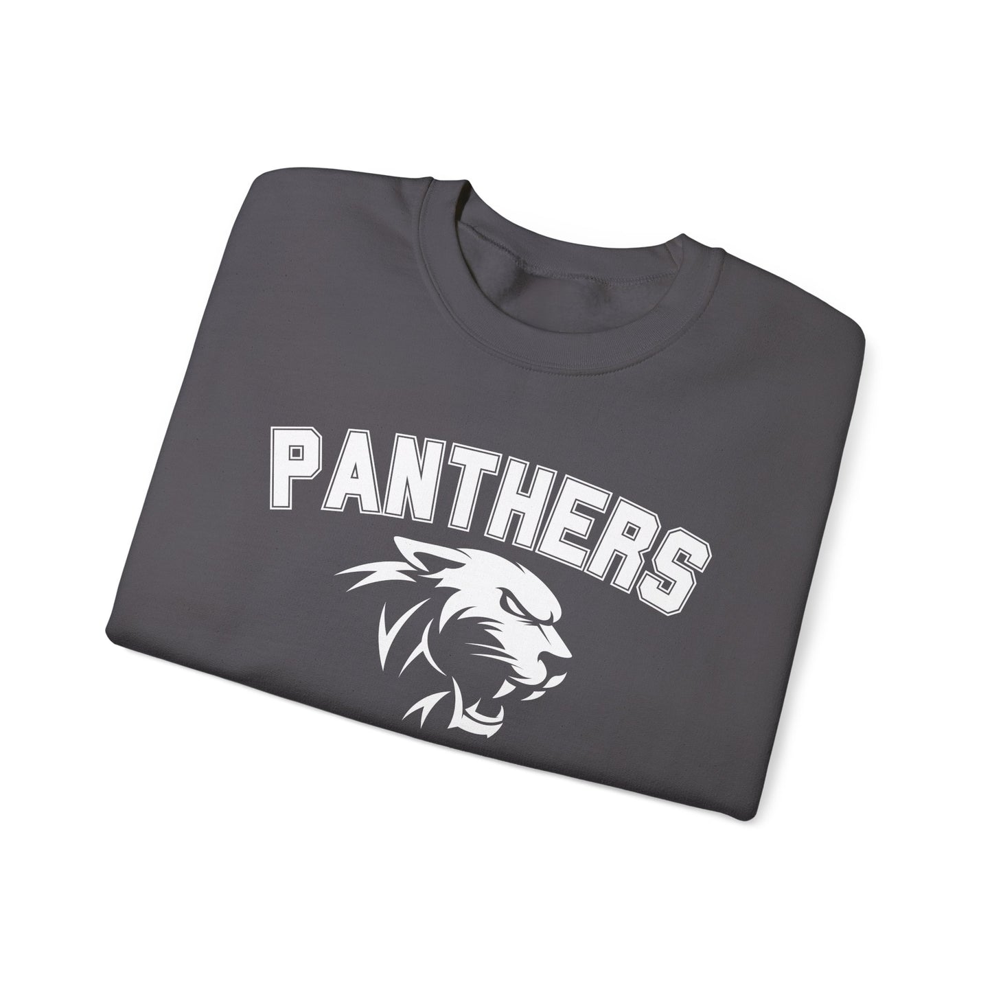 College Varsity Panthers Sweatshirt