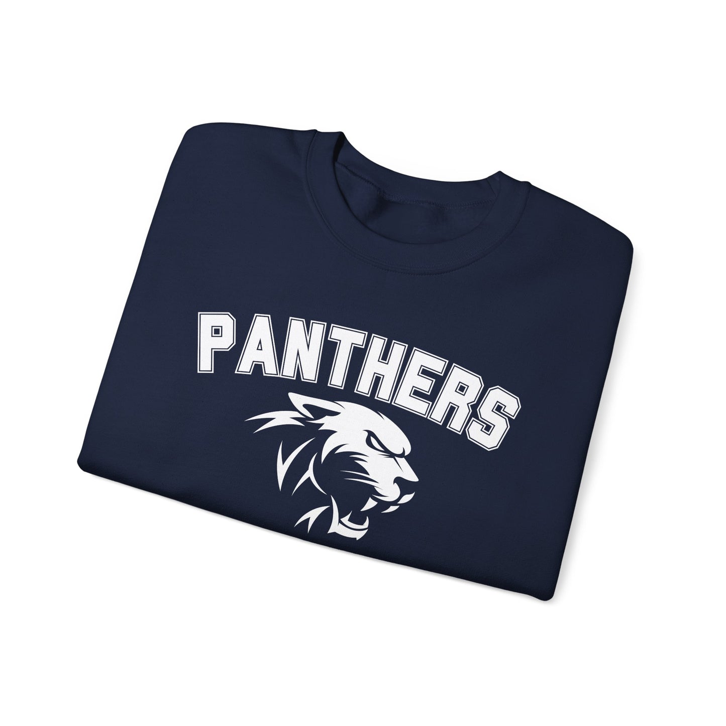 College Varsity Panthers Sweatshirt