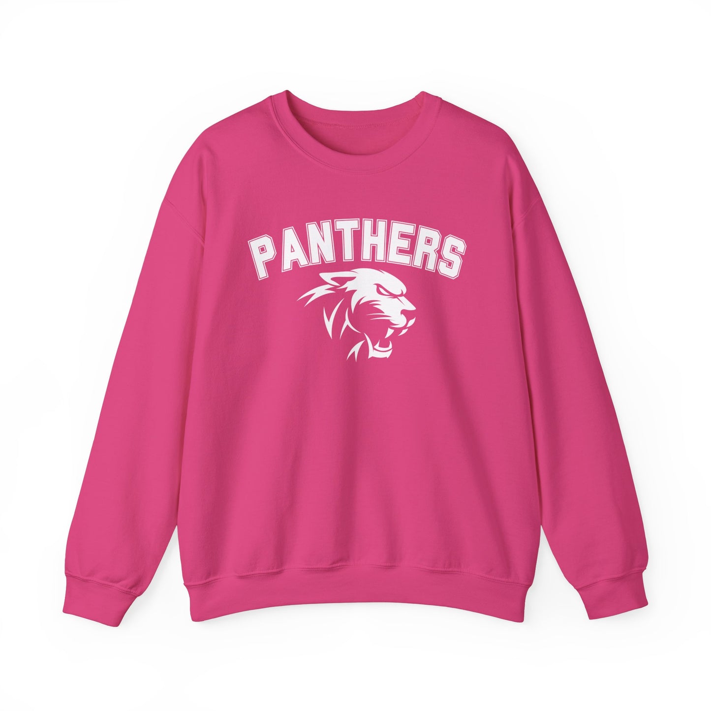 College Varsity Panthers Sweatshirt