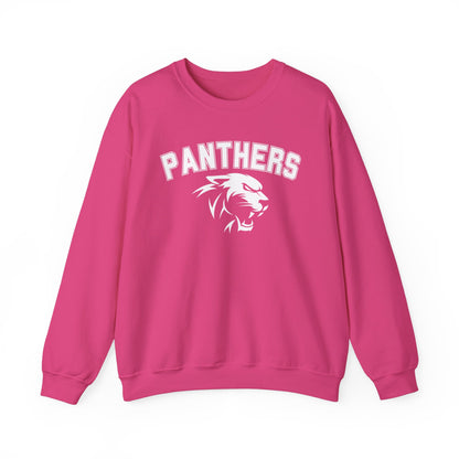 College Varsity Panthers Sweatshirt