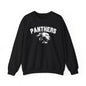 College Varsity Panthers Sweatshirt