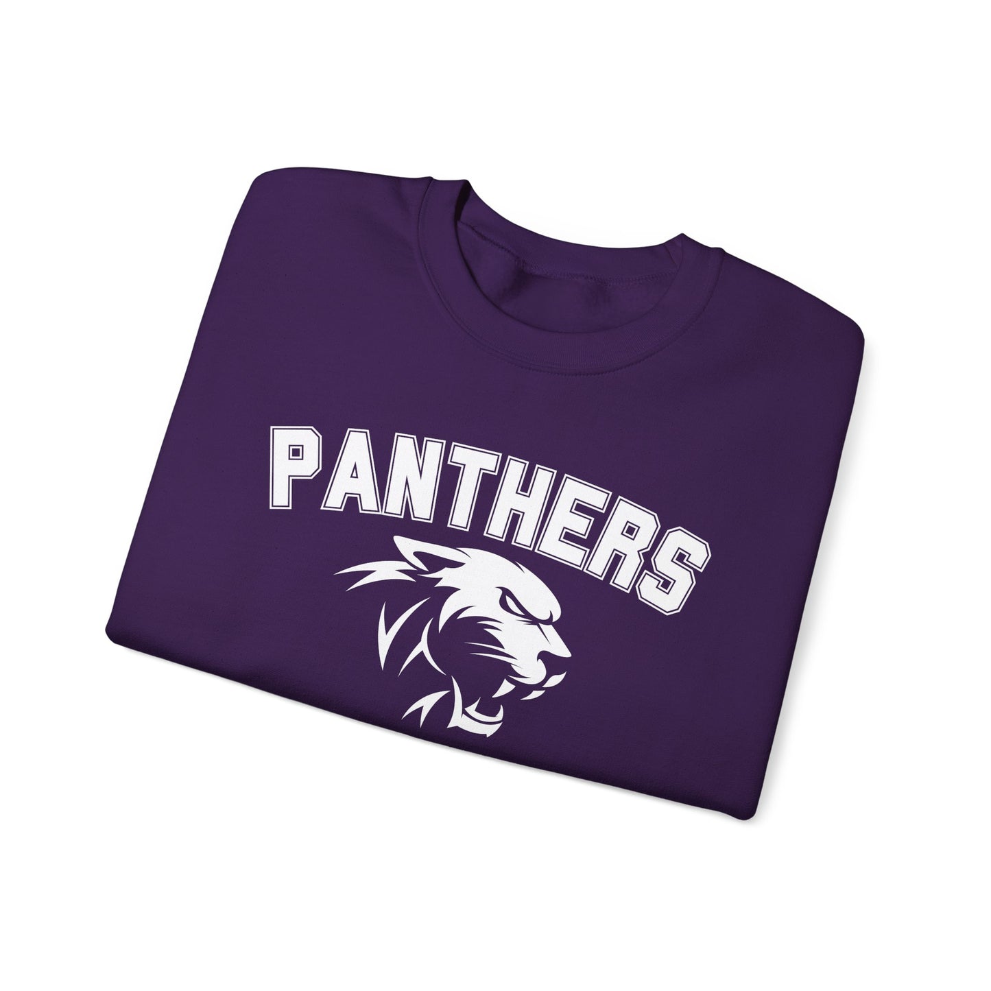 College Varsity Panthers Sweatshirt