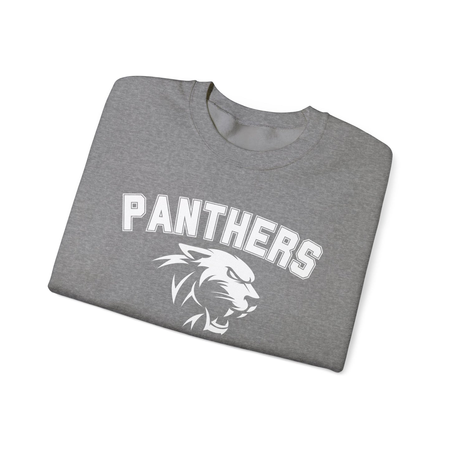 College Varsity Panthers Sweatshirt