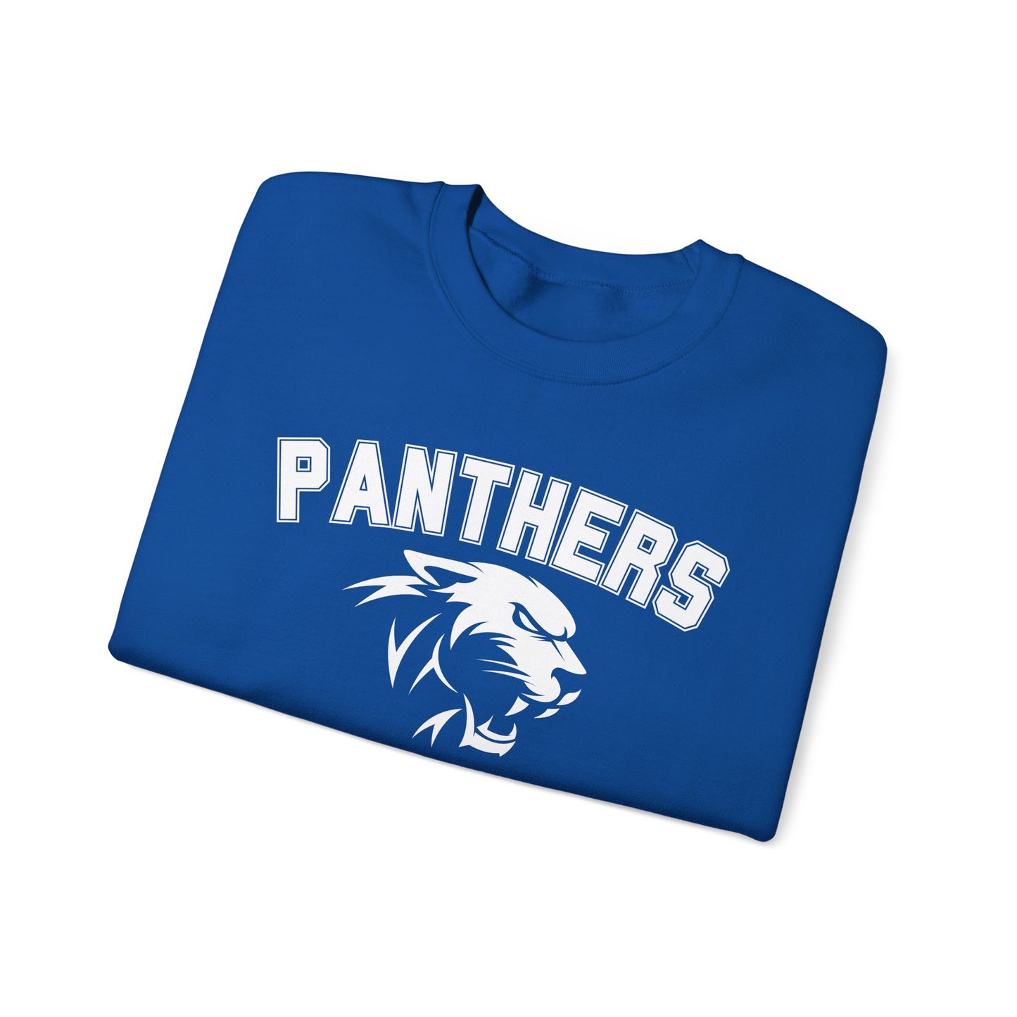 College Varsity Panthers Sweatshirt