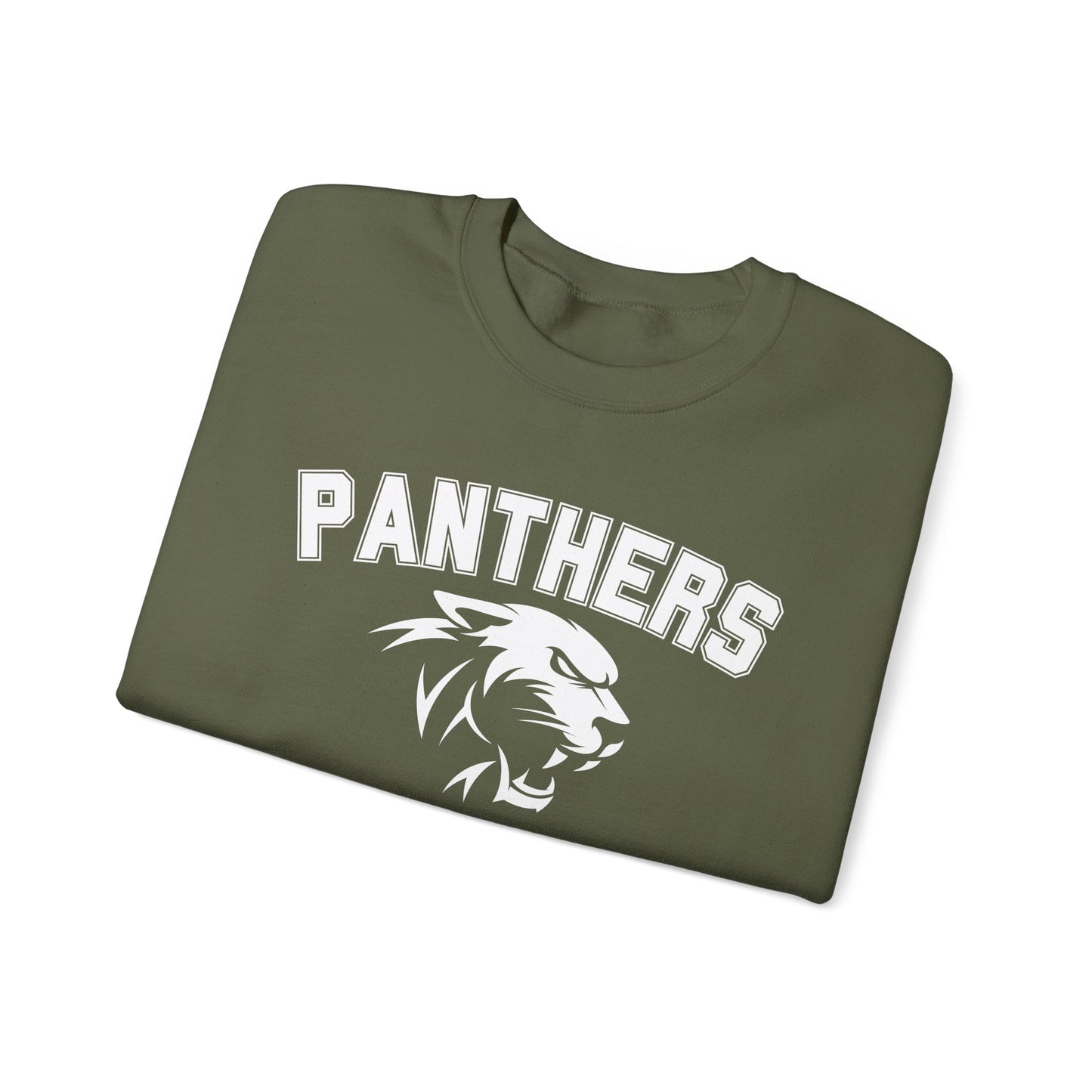 College Varsity Panthers Sweatshirt