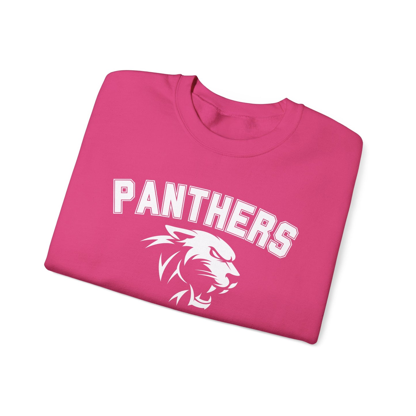 College Varsity Panthers Sweatshirt